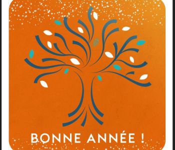 Voeux MC CM 2023 - Bonne année